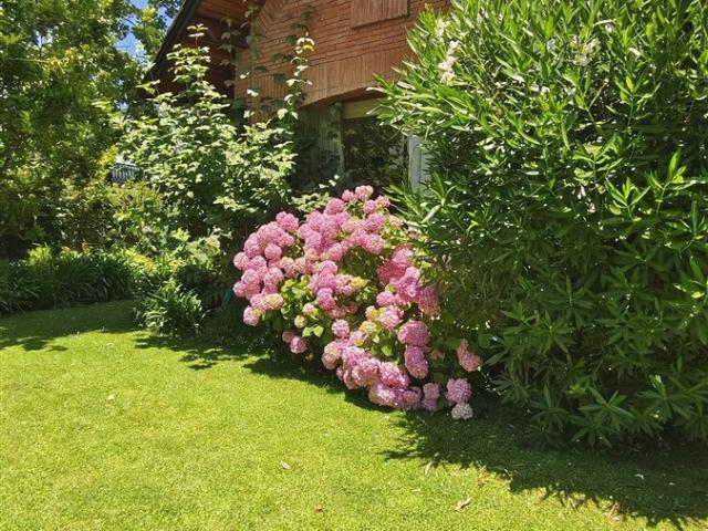 Casa en Vitacura