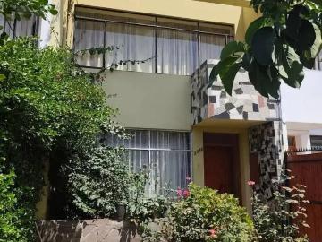 Del Peumo, Quinta Claude, Provincia de Valparaíso