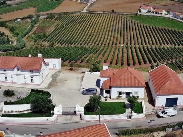 Casa encantadora inserida numa vinha privada