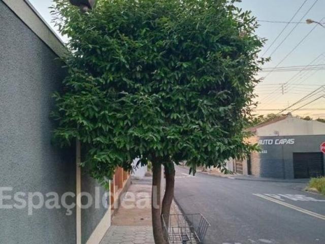 Casa espaçosa GEISEL Rota BRACELL