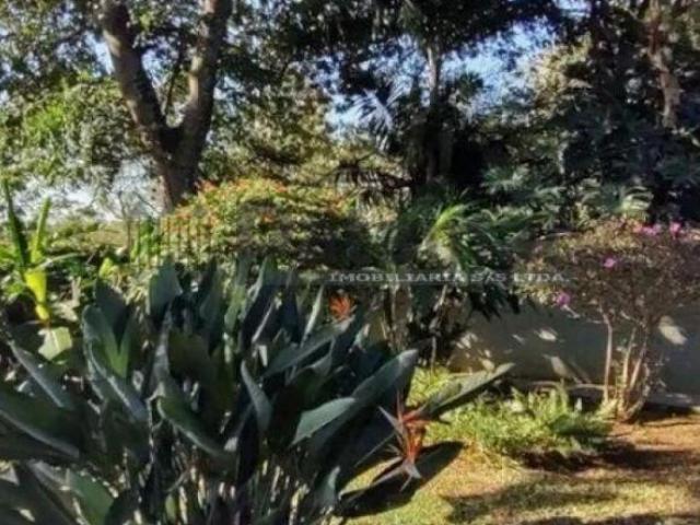 Casa Espetacular com 4 Dormitórios e Quintal Arborizado