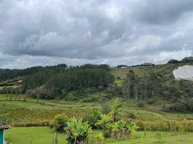 Casa Finca en Arriendo Chaparral SAN VICENTE
