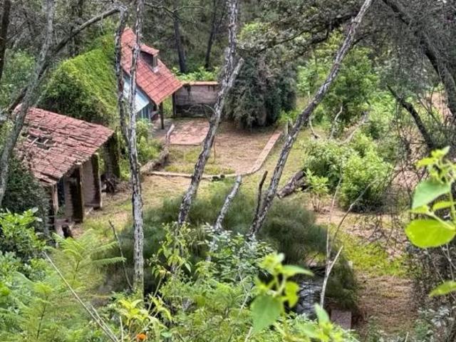 Casa Fraccionamiento Pinar de La Venta