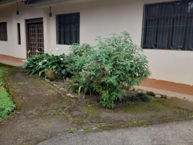 CASA GRANDE, COM TODOS COMODOS BEM ESPAÇOSOS, MAIS 2 CASAS NO MESMO TERRENO COM ENTRADAS INDIVIDU