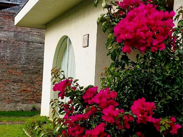 ✅casa huertos familiares, san pedro de la paz 4d3b2e