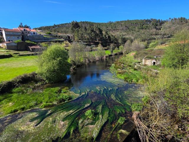 Casa Histórica de Granito com Vinhedo perto de Serra da Estr. 480m² Matança