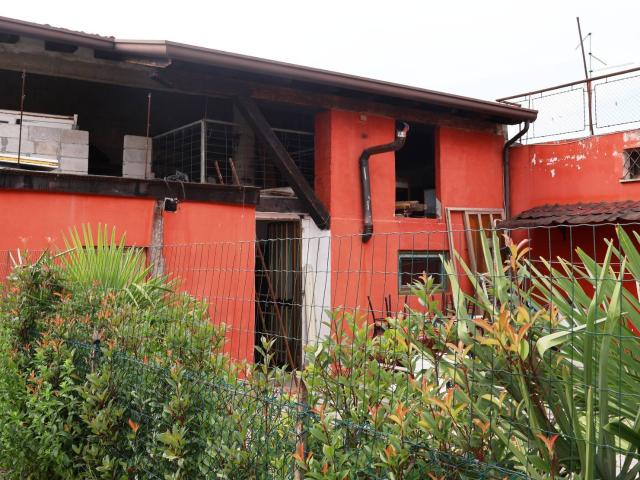 Casa in corte in vendita a Porpetto