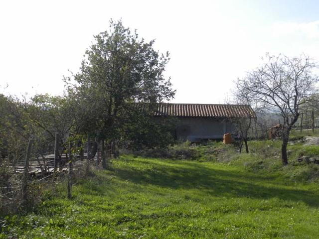 Casa in vendita a Dego