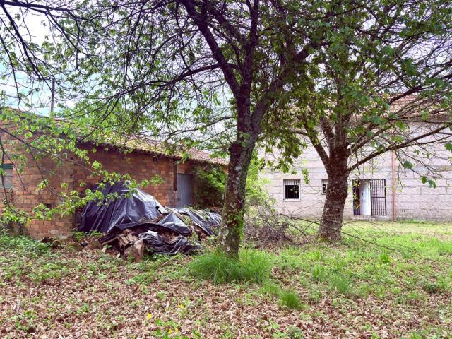 SE VENDE CASA DE PIEDRA CON FINCA EN A BARRELA CON 5 HABITACIONES Y FANTASTICO TERRENO