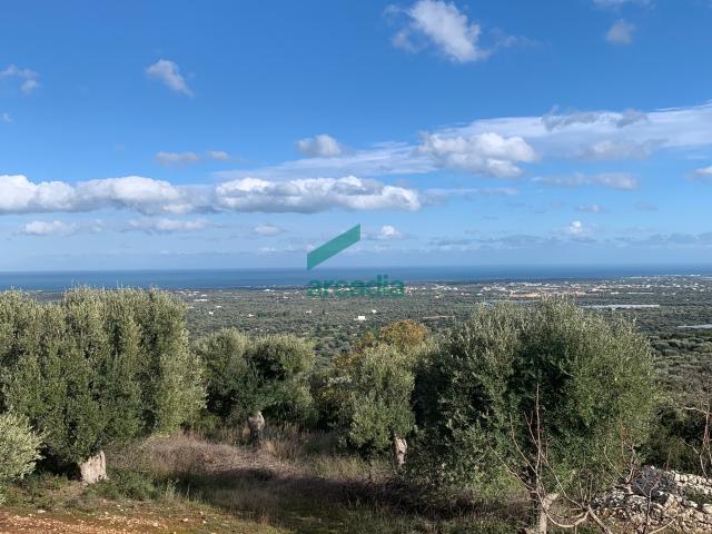 Casa indipendente vista mare in contrada torchiano, Monopoli