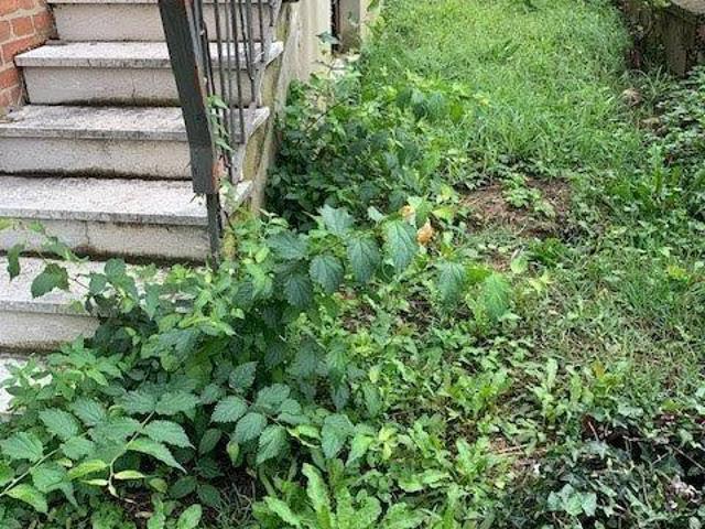 Casa indipendente con giardino, Capraia e Limite limite