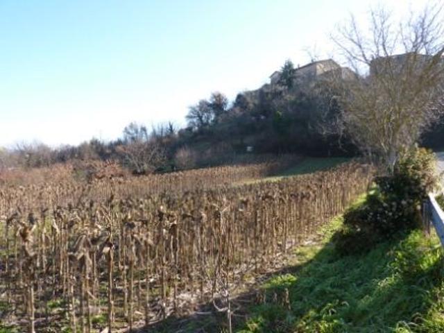 Casa indipendente con giardino a Venarotta