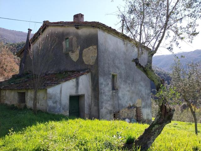 Casa indipendente con giardino a Calci