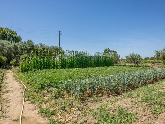 Casa indipendente con giardino a Cascina