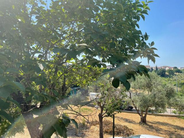 Casa indipendente con giardino a Cerreto Guidi