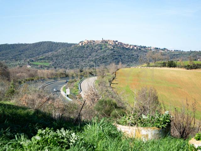 Casa indipendente con giardino a Civitella Paganico