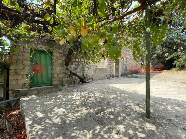 Casa indipendente con giardino a Fondi