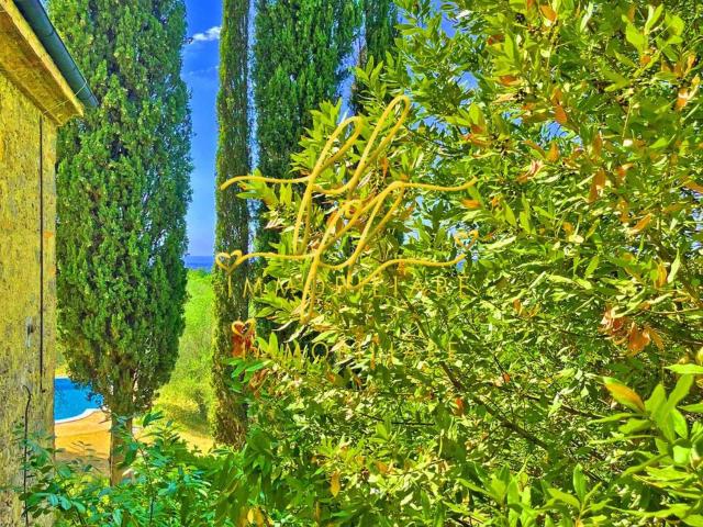 Casa indipendente con giardino a Guardistallo