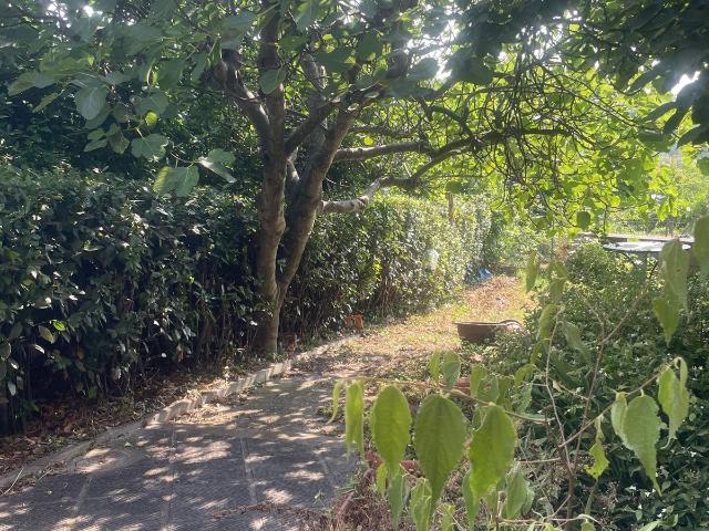 Casa indipendente con giardino a Montopoli in Val d'Arno