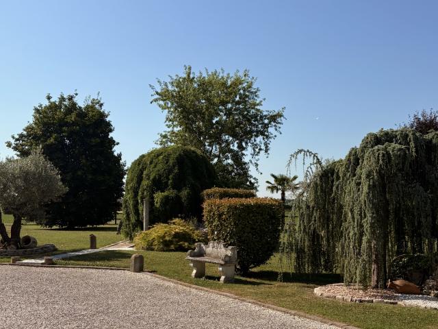 Casa indipendente con giardino a Piove di Sacco