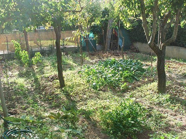 Casa indipendente con giardino a Pisa