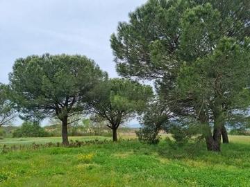 Casa indipendente con giardino, Fucecchio querce