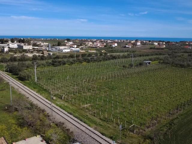 Casa indipendente con giardino in contrada da cona 10, San Vito Chietino