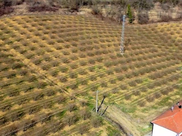Casa indipendente con giardino in frazione robertiero 14, Gorzegno