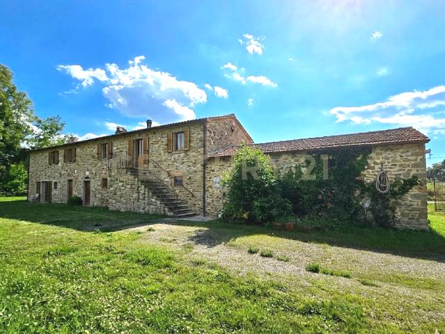 Casa indipendente con giardino in località vaticino 11, Castiglione della Pescaia