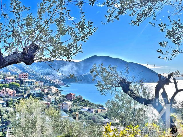 Casa indipendente con giardino in via del castello 32, Recco