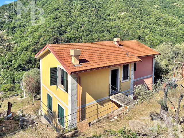 Casa indipendente con giardino in via posato 21, Avegno