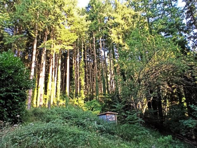 Casa indipendente con giardino, Lucca pieve di brancoli