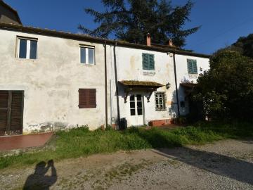 Casa indipendente con giardino, Massarosa massaciuccoli