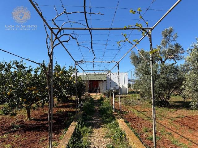 Casa indipendente con giardino, Salve lido marini