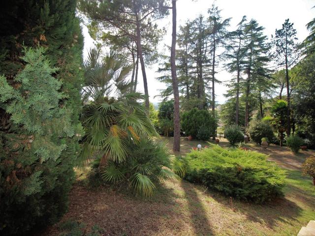 Casa indipendente con giardino, Siena belriguardo
