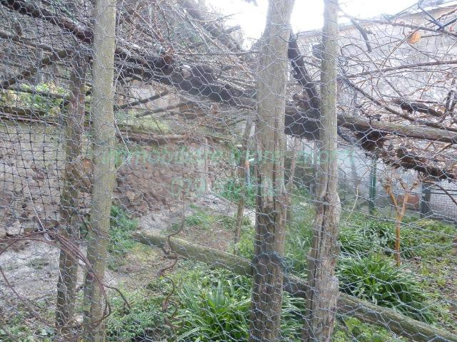 Casa singola in vendita a Savona, Santuario