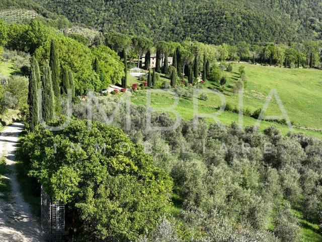 Casa indipendente con terrazzi in via degli ulivi 16, Baschi