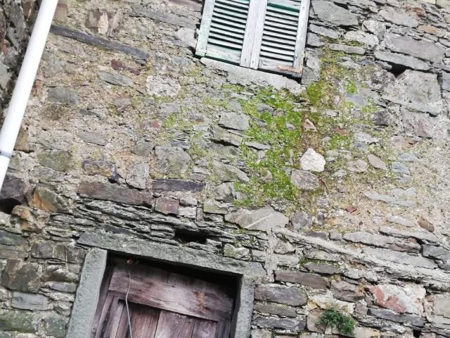 Casa indipendente da ristrutturare in zeri, Zeri