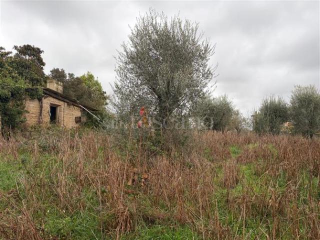 Casa Indipendente di 40 mq a Casalotti, Casal Selce, Maglianella Roma