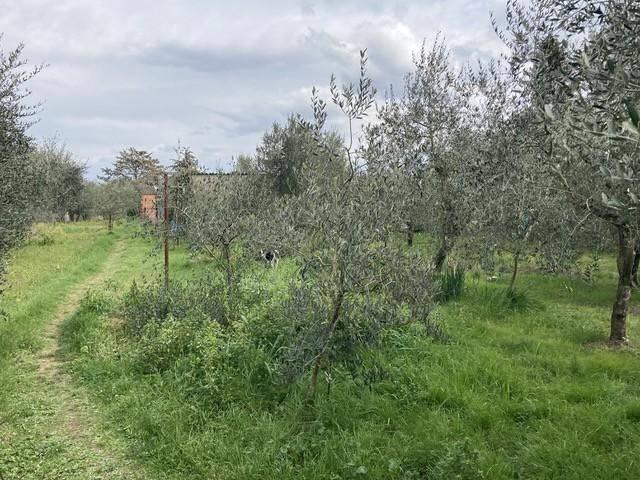 Casa indipendente in vendita a Colle di Val d'Elsa SI