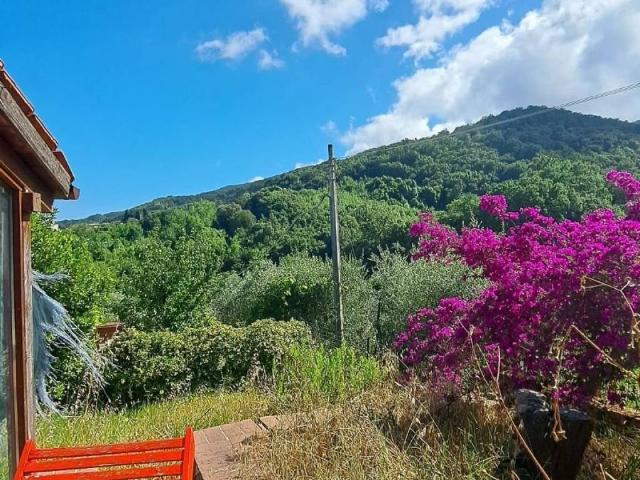 Casa indipendente in vendita a Collesalvetti LI