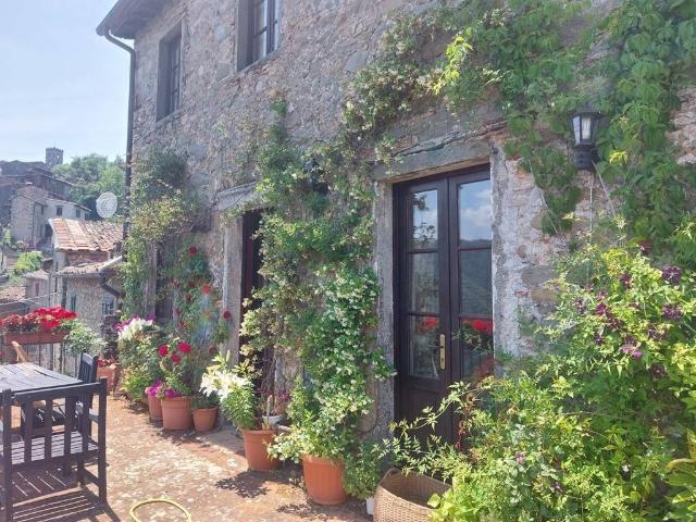 Casa indipendente in vendita a Coreglia Antelminelli LU