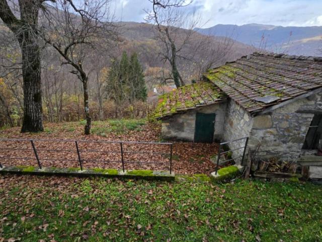 Casa indipendente in vendita a Corniglio PR