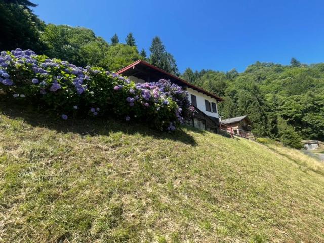 Casa indipendente in vendita a Cosio Valtellino SO