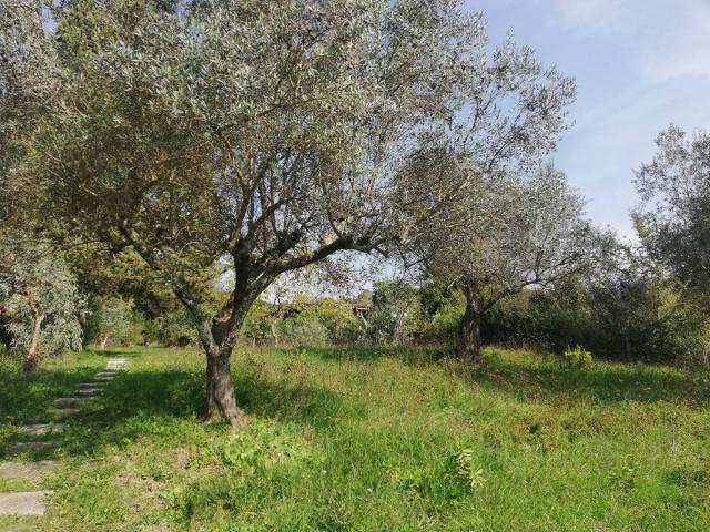 Casa indipendente in vendita a Caiazzo CE