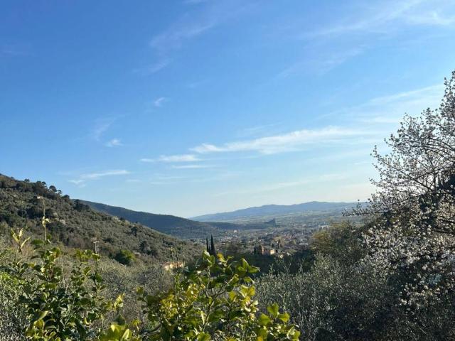 Casa indipendente in vendita a Calci PI