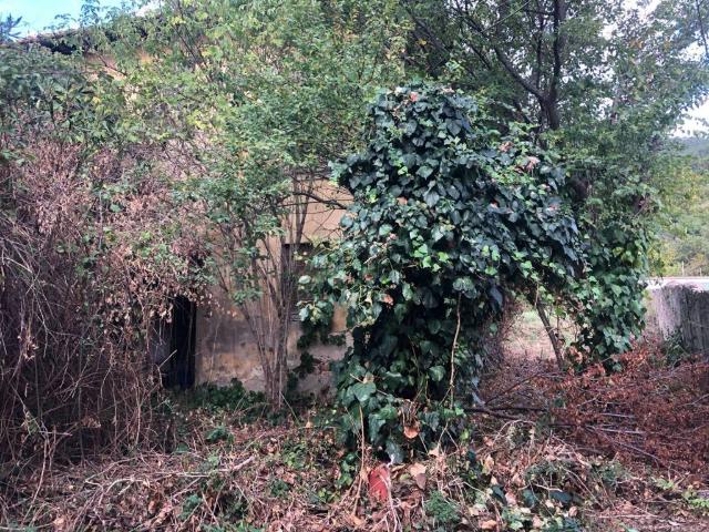 Casa indipendente in vendita a Calci PI