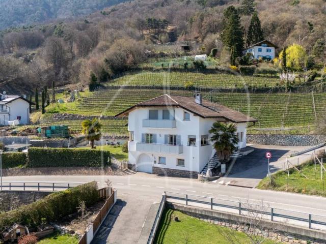 Casa indipendente in vendita a Caldaro sulla Strada del Vino BZ