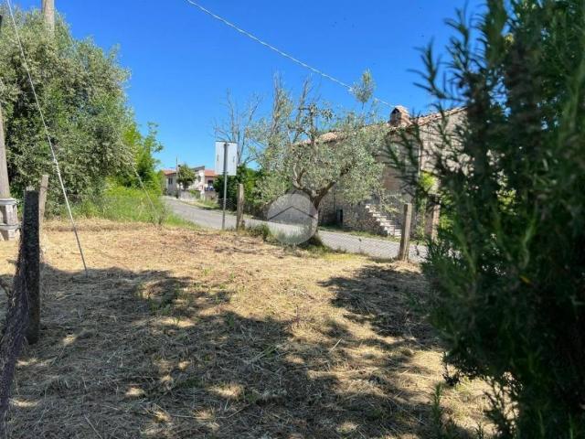 Appartamento in vendita a Calvi dell'Umbria TR