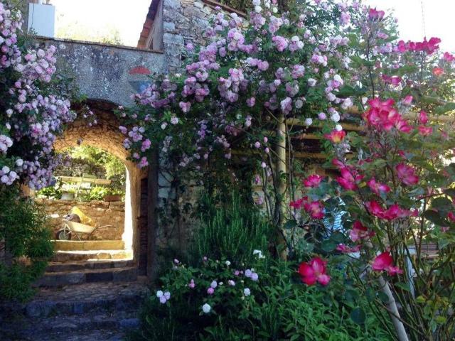 Casa indipendente in vendita a Camaiore